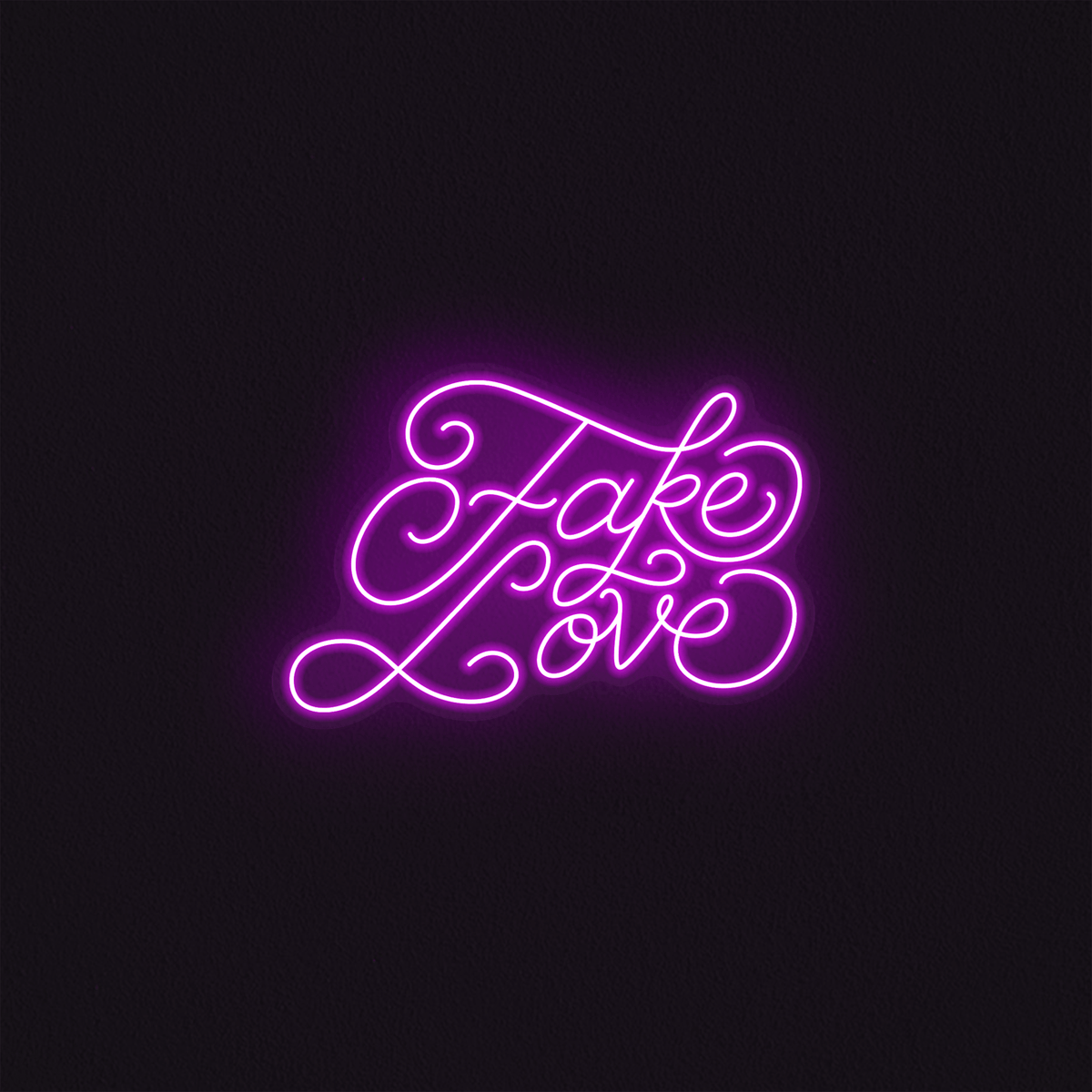 Fake Love - Mr Luciole