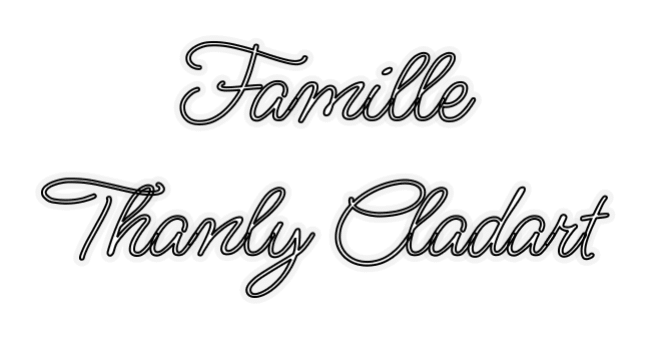 Custom Neon: Famille Thanly... - Mr Luciole