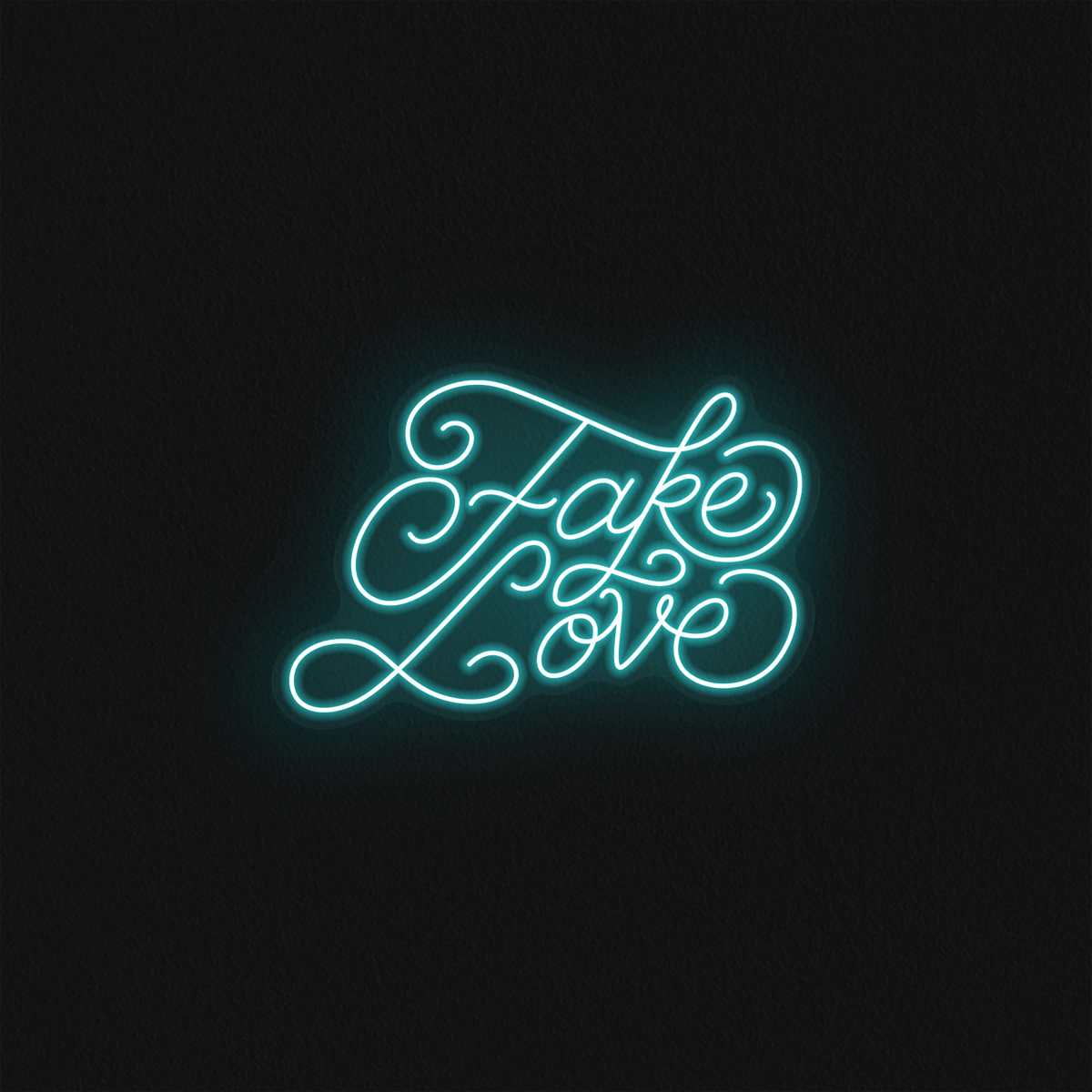 Fake Love - Mr Luciole