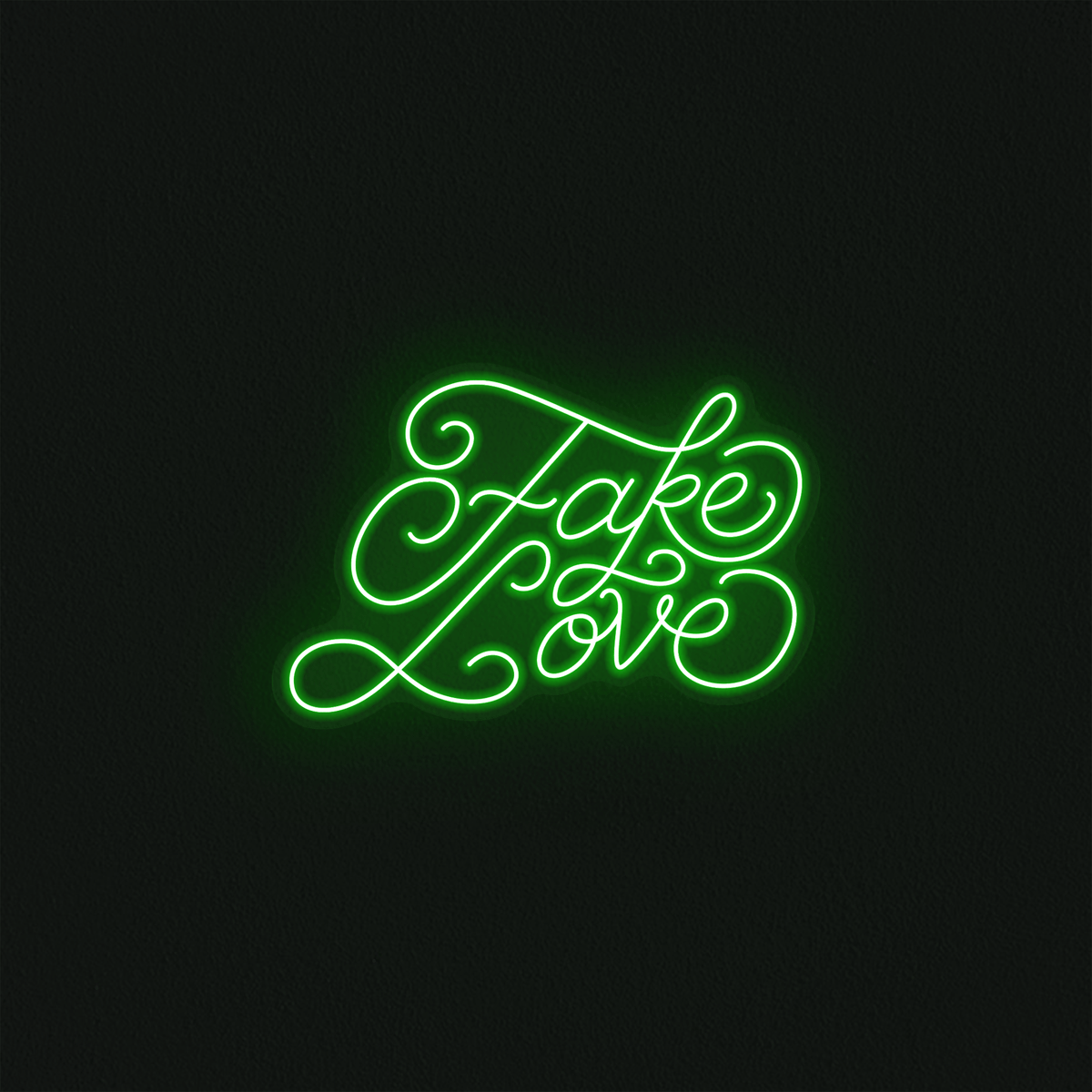 Fake Love - Mr Luciole